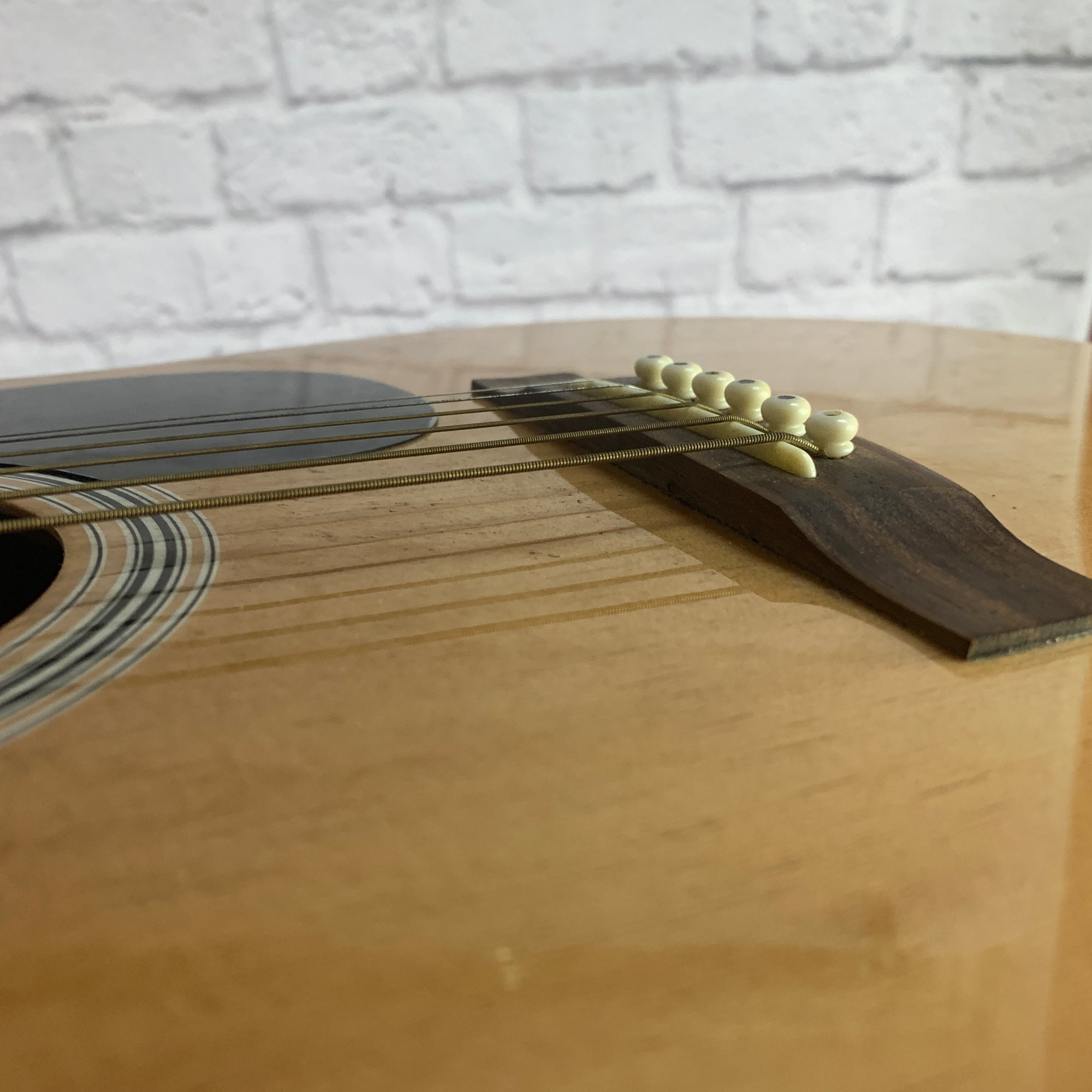 Rogue RA-100D Acoustic Guitar