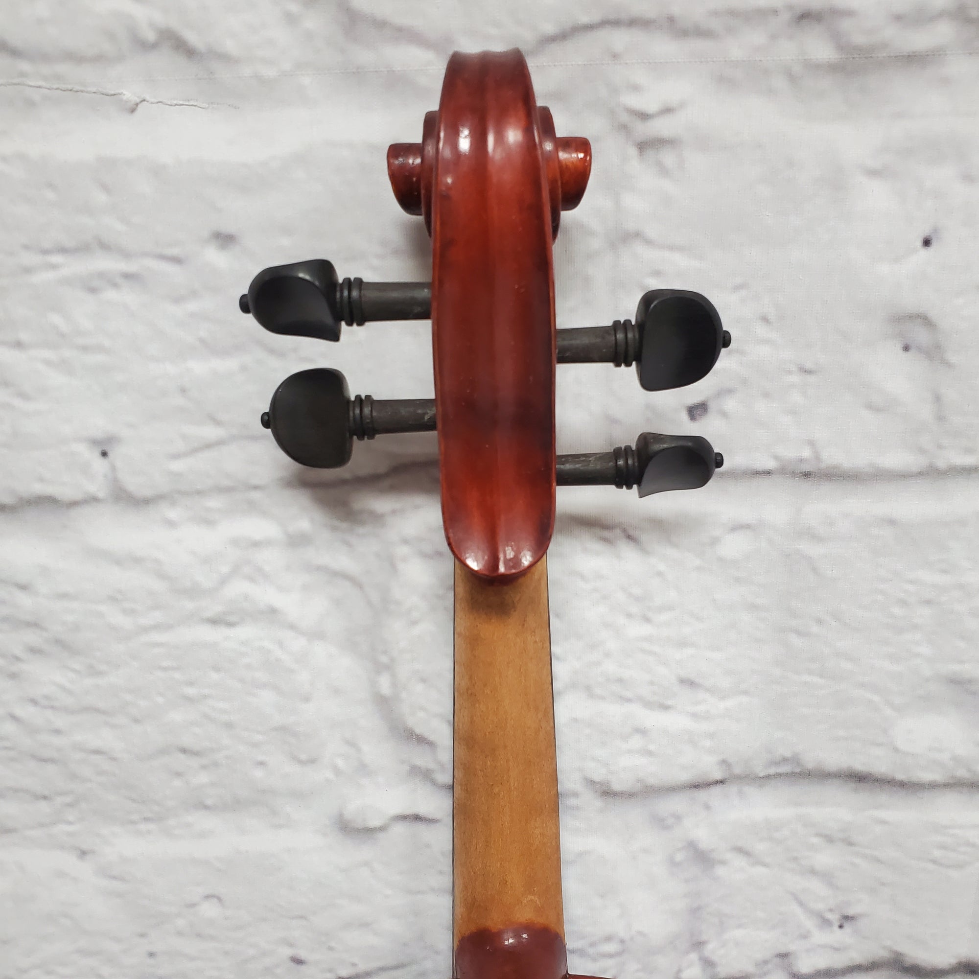 Grottano 4/4 Violin