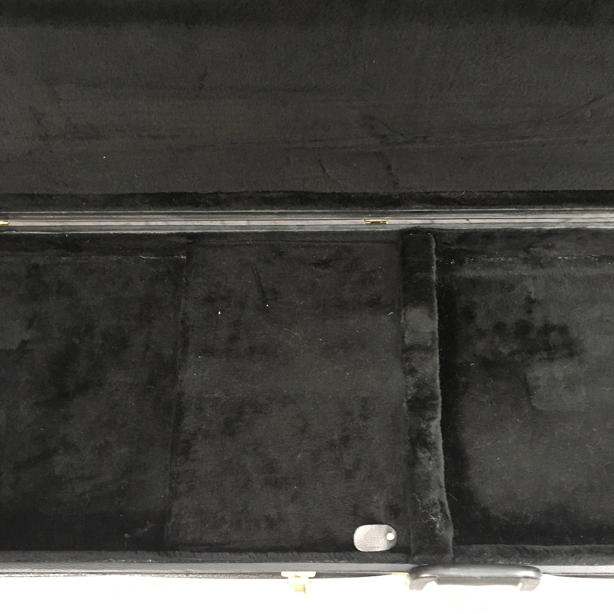 Unknown Hard Shell Bass Case