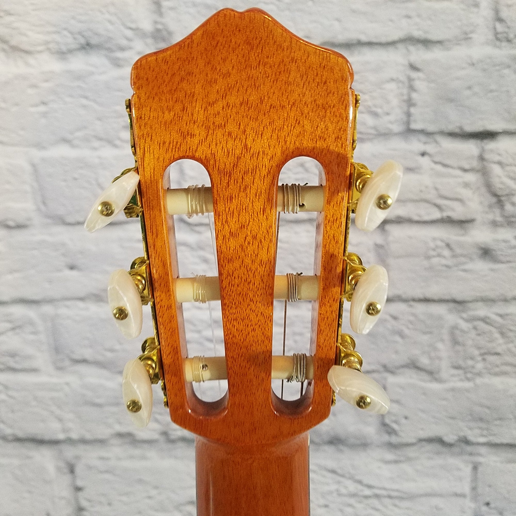 Cordoba C5 Acoustic Guitar