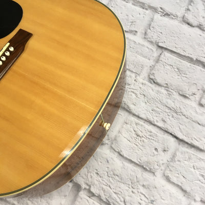 S101 Dreadnaught Acoustic Guitar