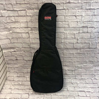 Recording King RD-318 Deluxe Dreadnaught with Padded Bag