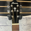 Ibanez AEG70-TCH Acoustic Electric with Cutaway