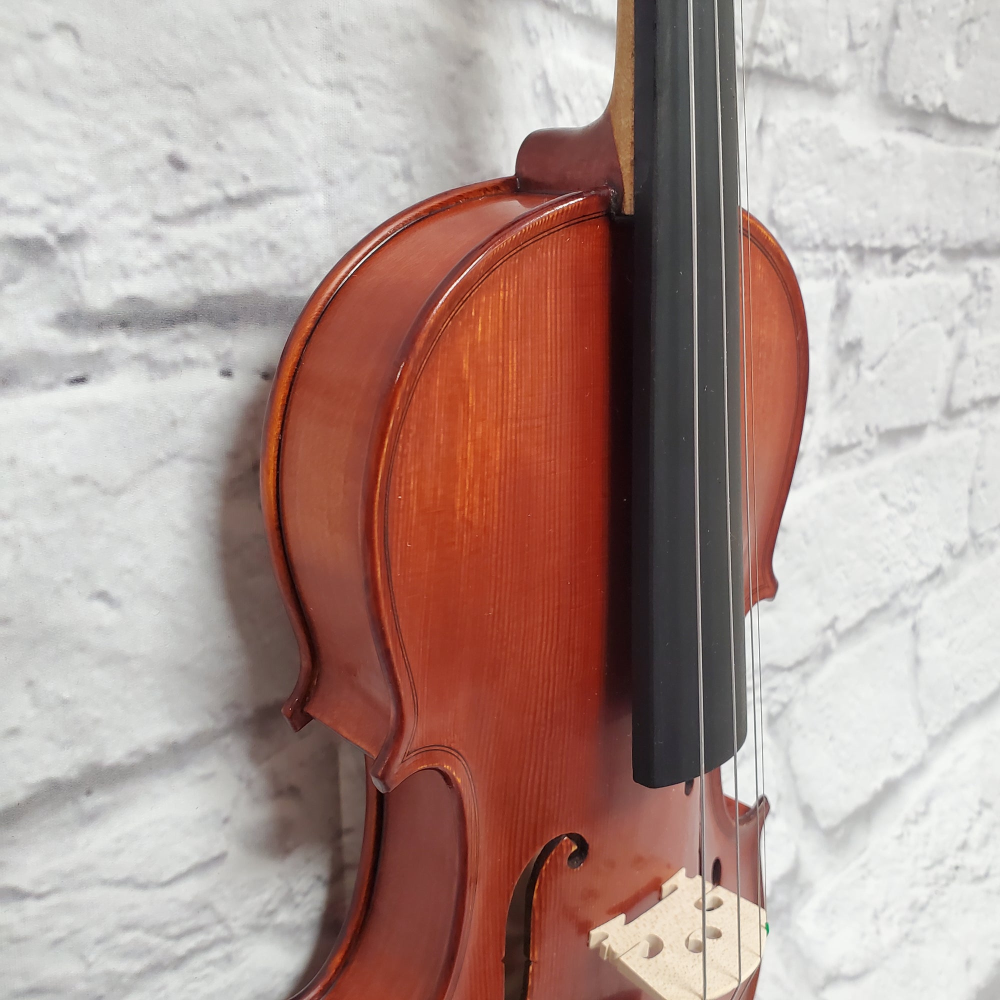 Grottano 4/4 Violin