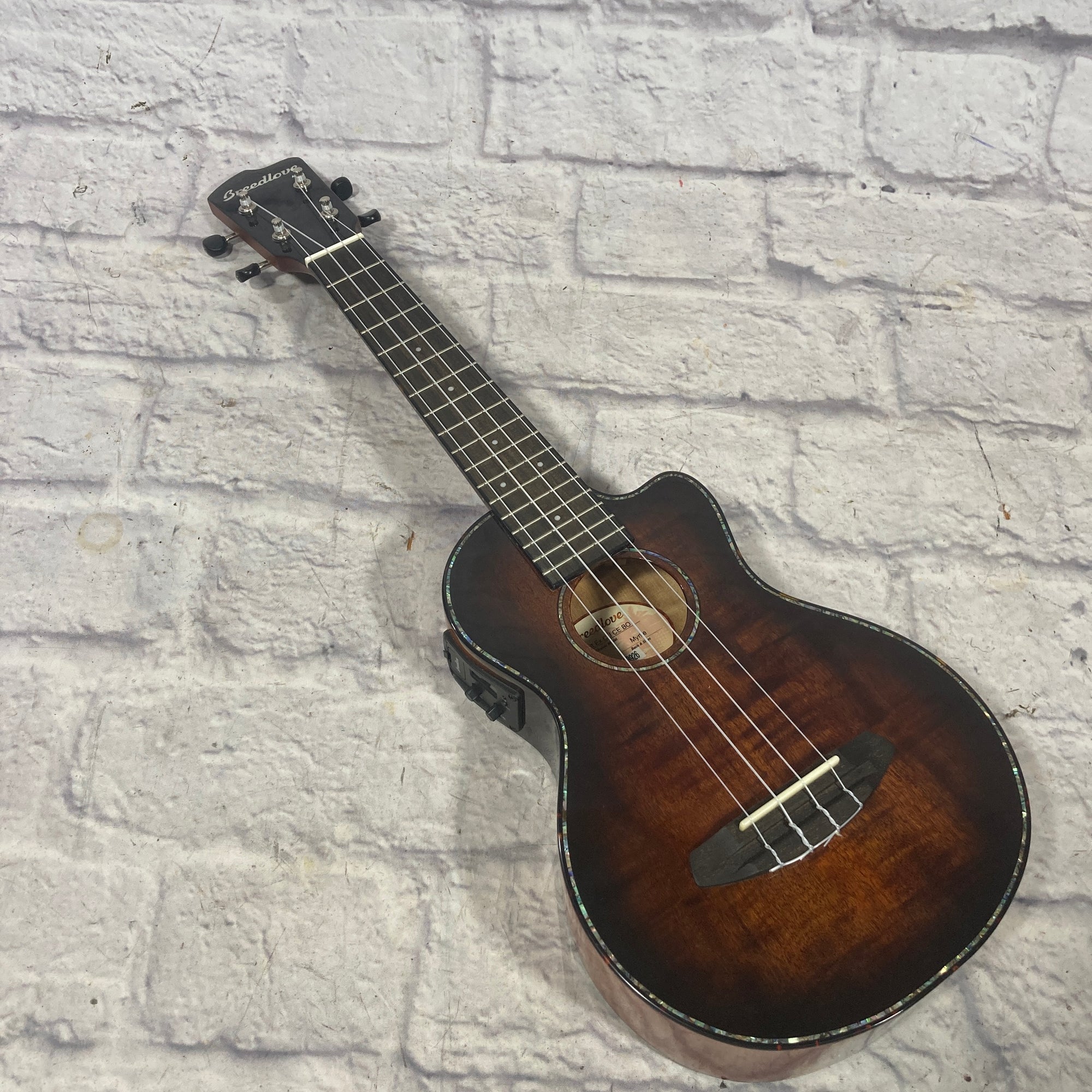 Breedlove Pursuit Ex CU CE BO