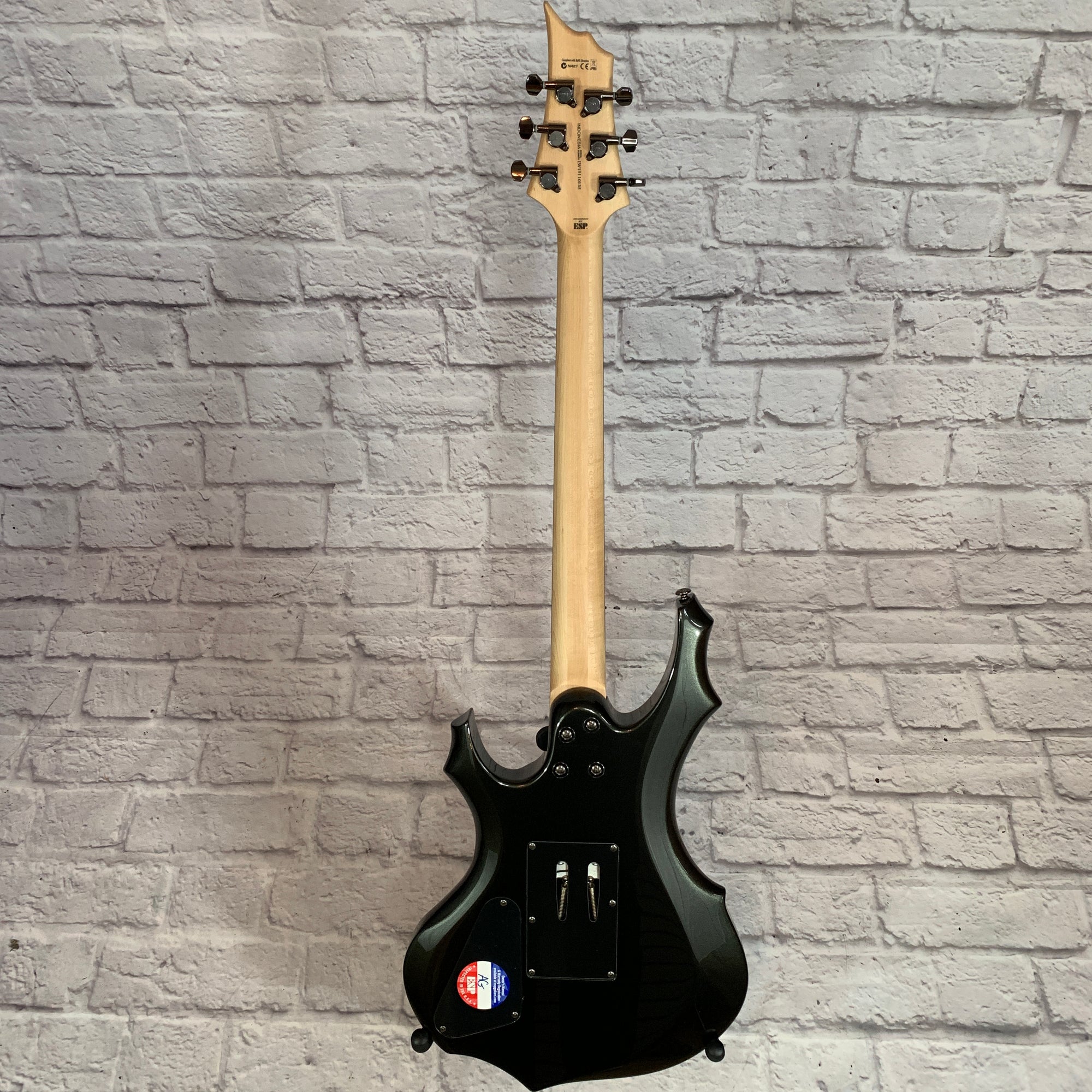 ** LTD F200 FRCHM Electric Guitar