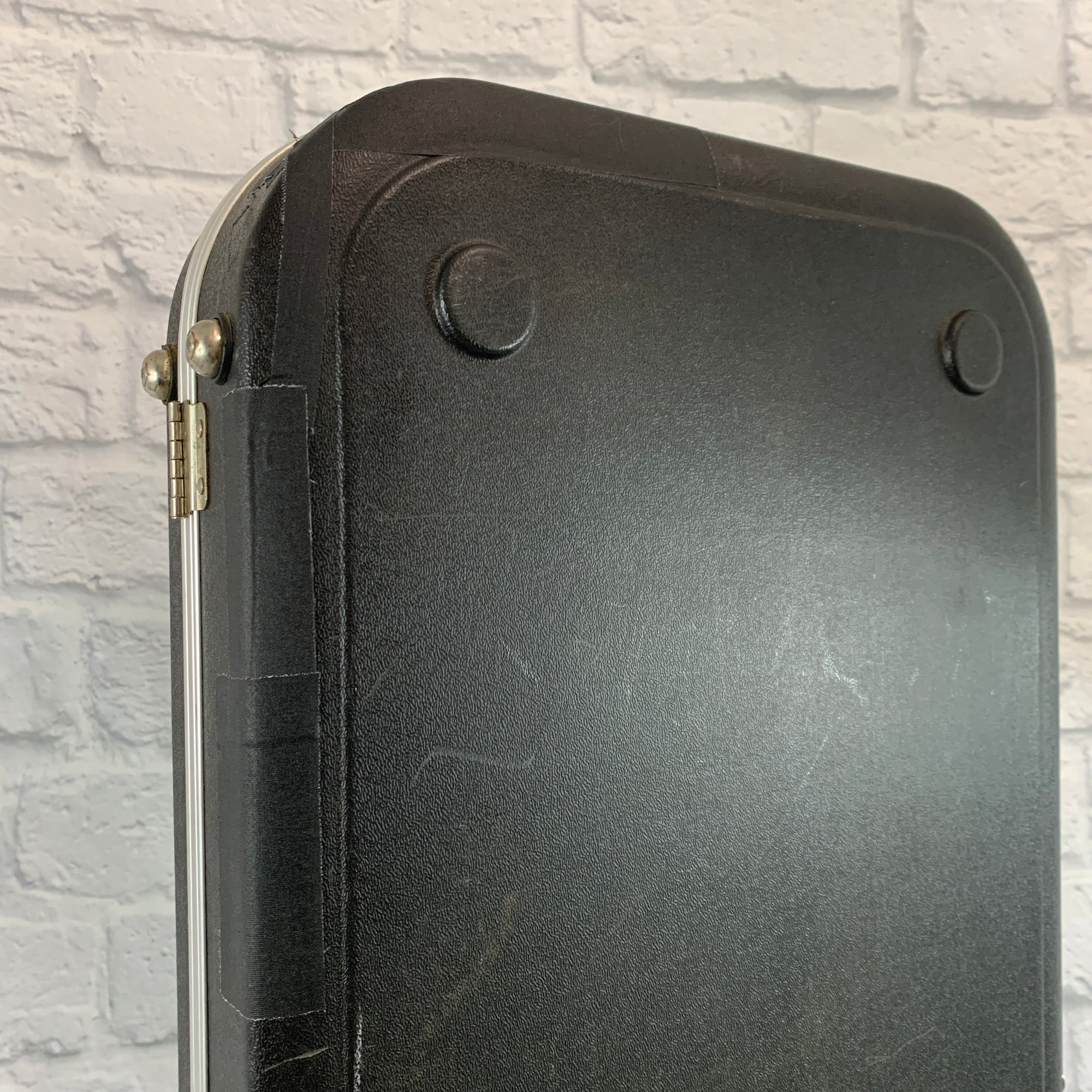 Road Runner Bass Case Hard Case