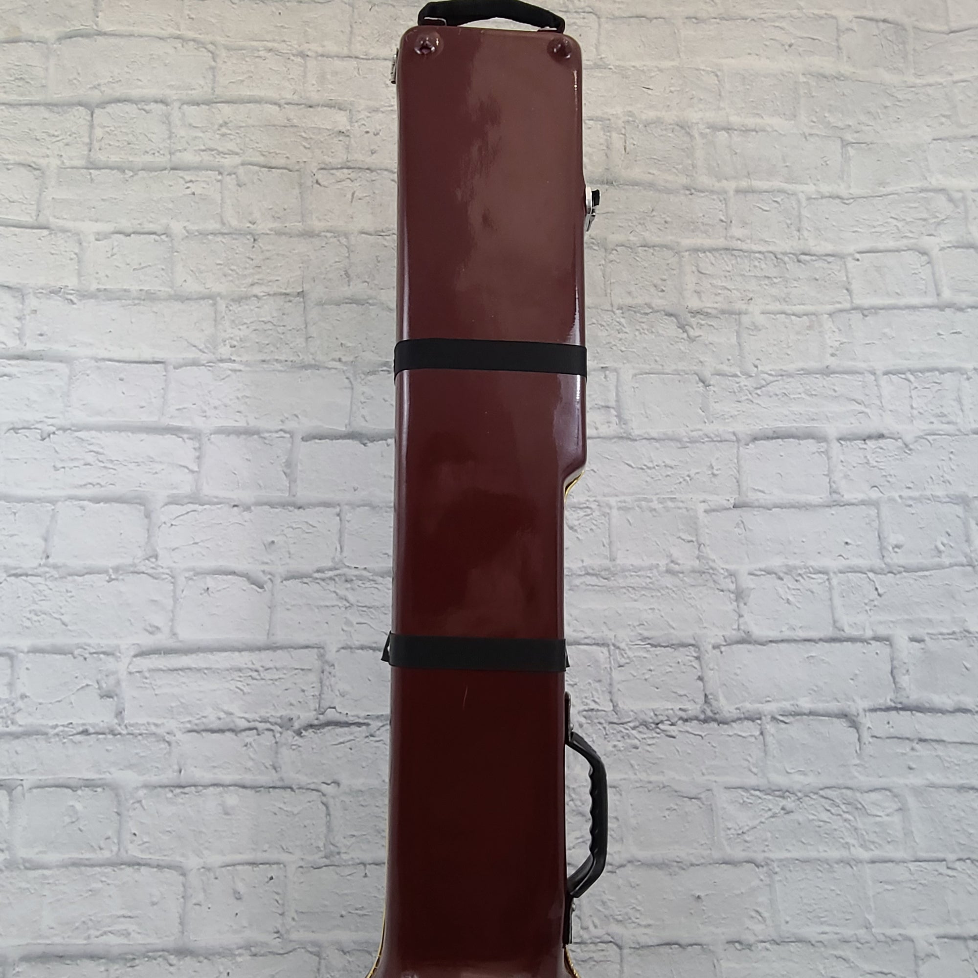 Unknown Sitar Fiber Glass Travel Case