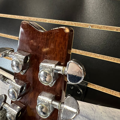 Washburn D95LTD Dreadnaught Acoustic Guitar