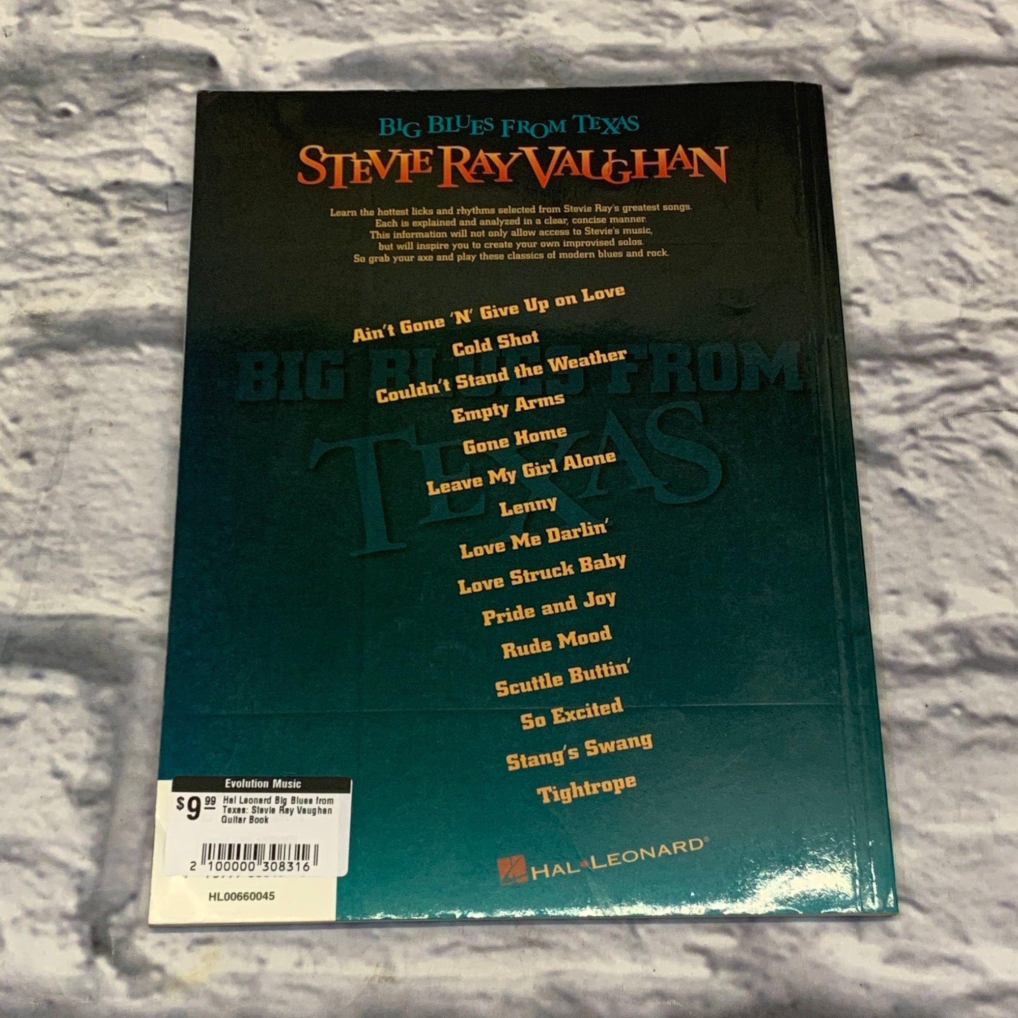 Hal Leonard Big Blues from Texas: Stevie Ray Vaughan Guitar Book