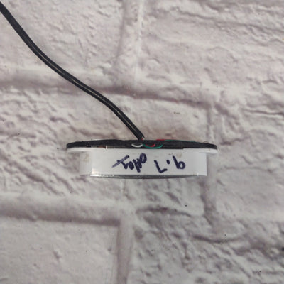 Unknown Dual Rail Single Coil Pickup Pair