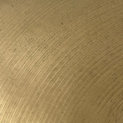Sabian 21 Raw Bell Dry Ride Cymbal