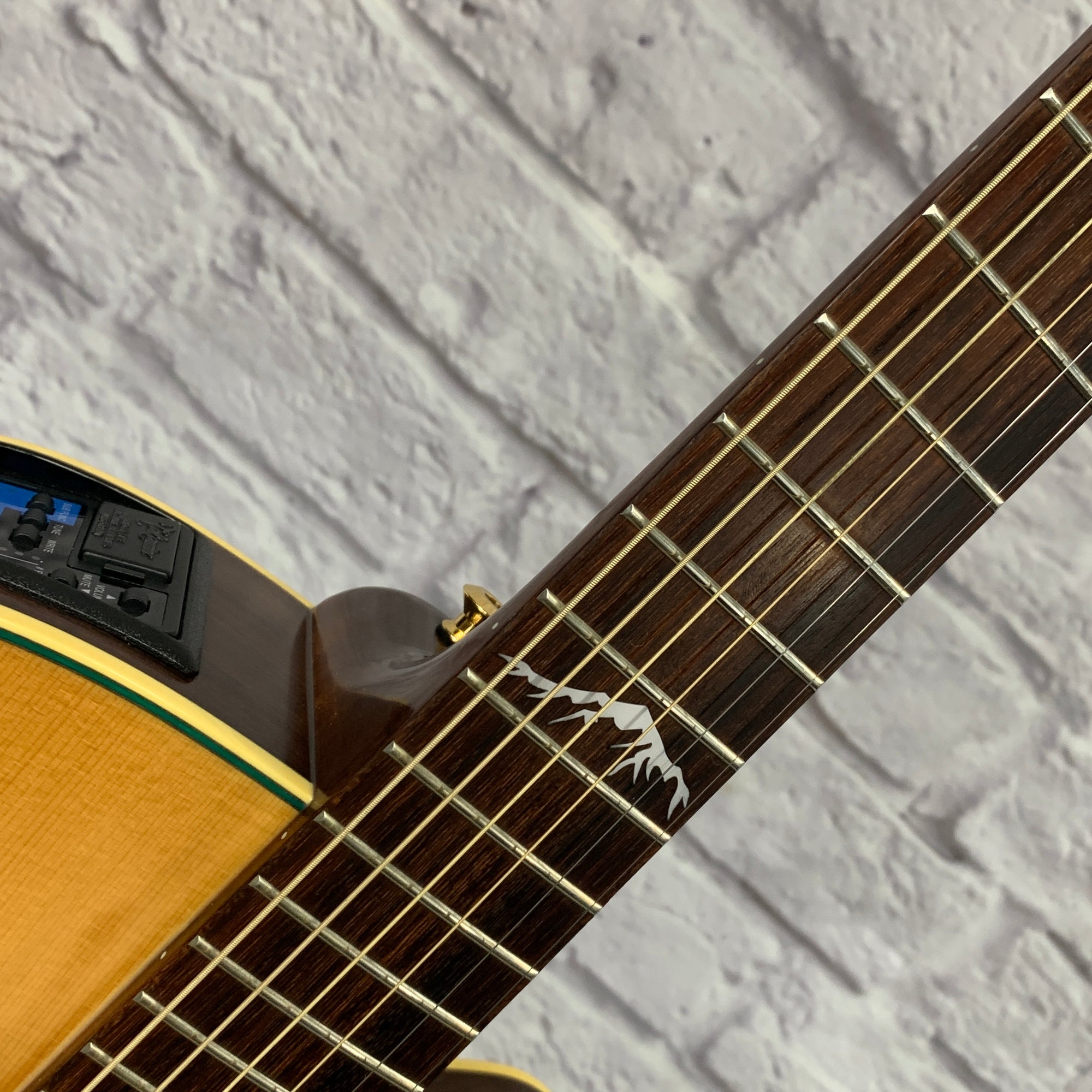Takamine LTD99 Acoustic/Electric w/ AD-1 Effects Preamp & Case
