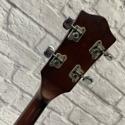 Vintage Alex 5-String Banjo