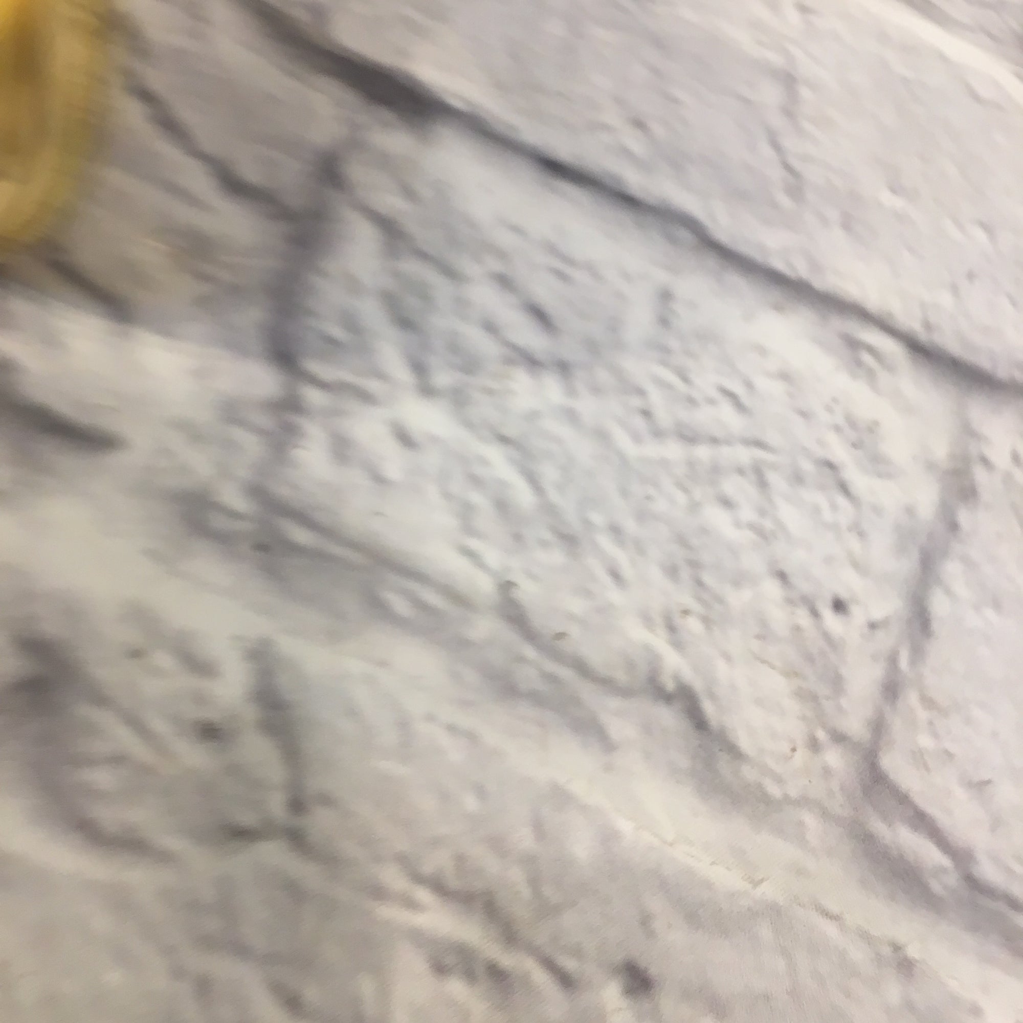 Bach TR-300 Trumpet w Hard Case