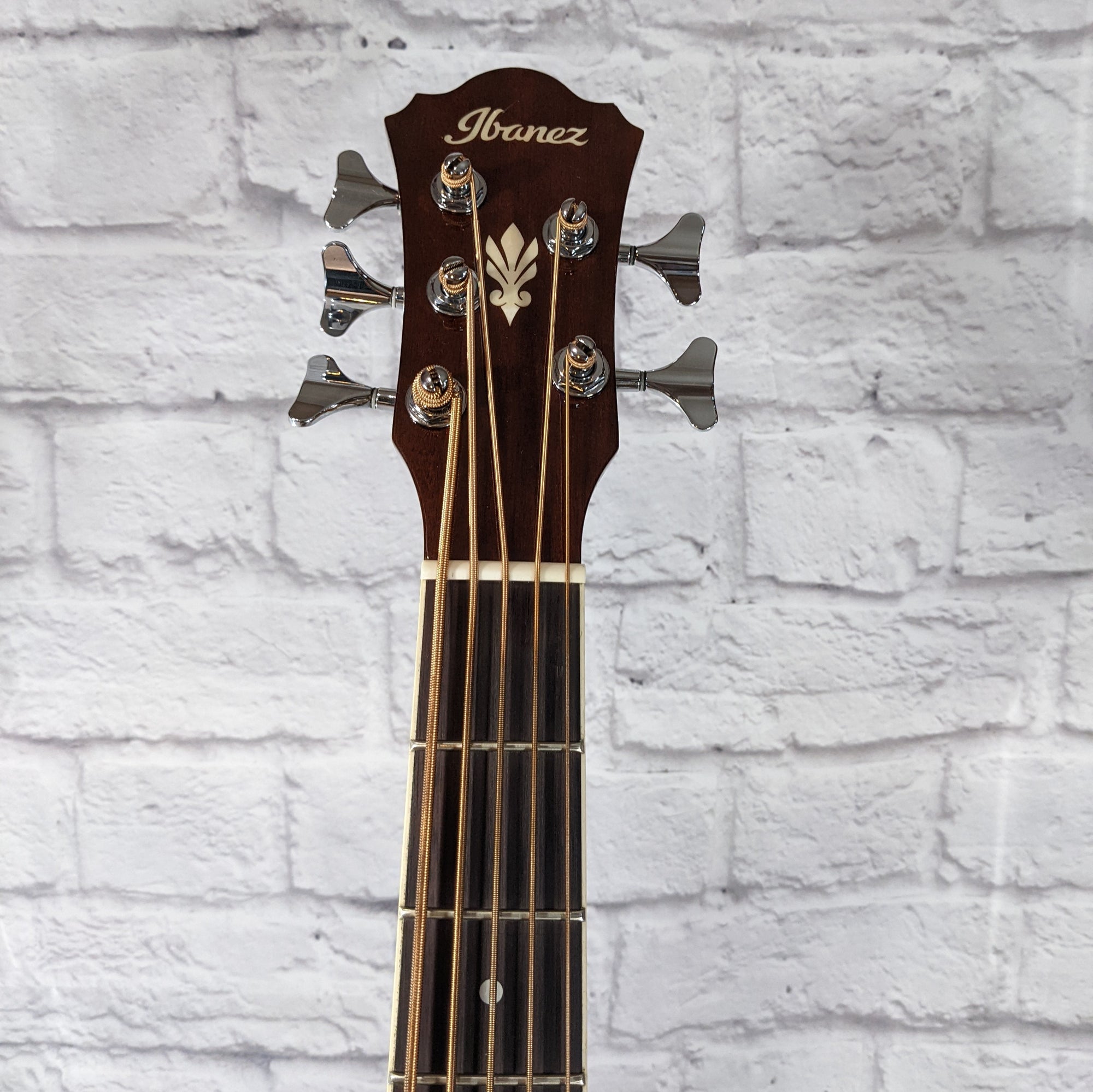 Ibanez AEB105ENT 5 String Acoustic Bass Guitar
