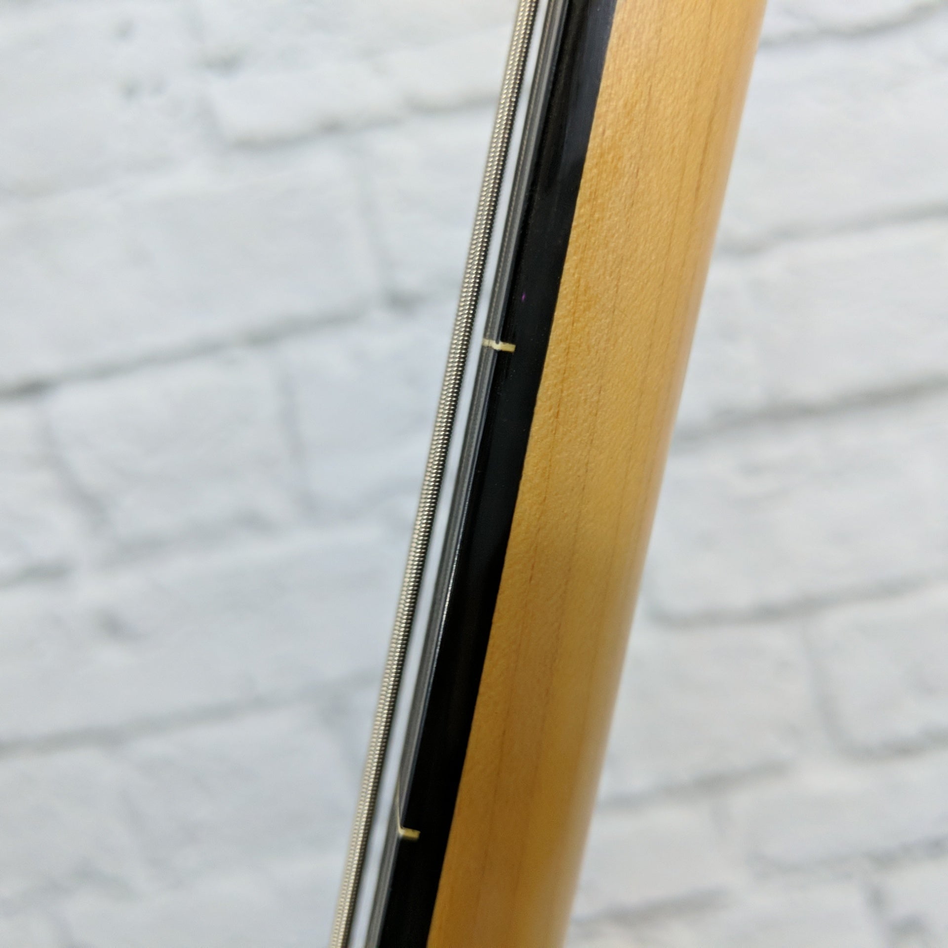 Hohner Fretless PG Bass F1