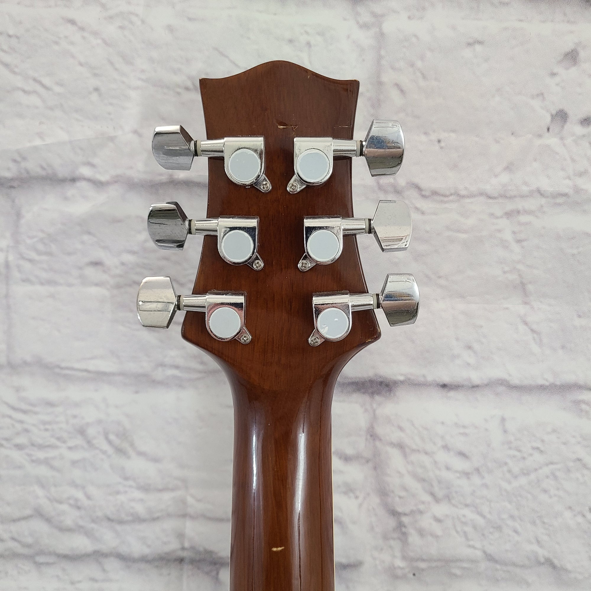 Silvertone 633 Acoustic Guitar W/ Gig Bag