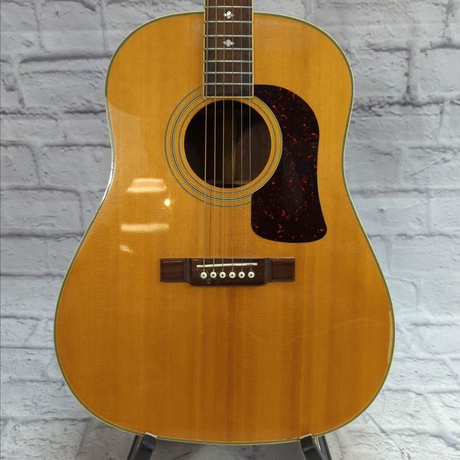 Washburn D 10N Acoustic Guitar