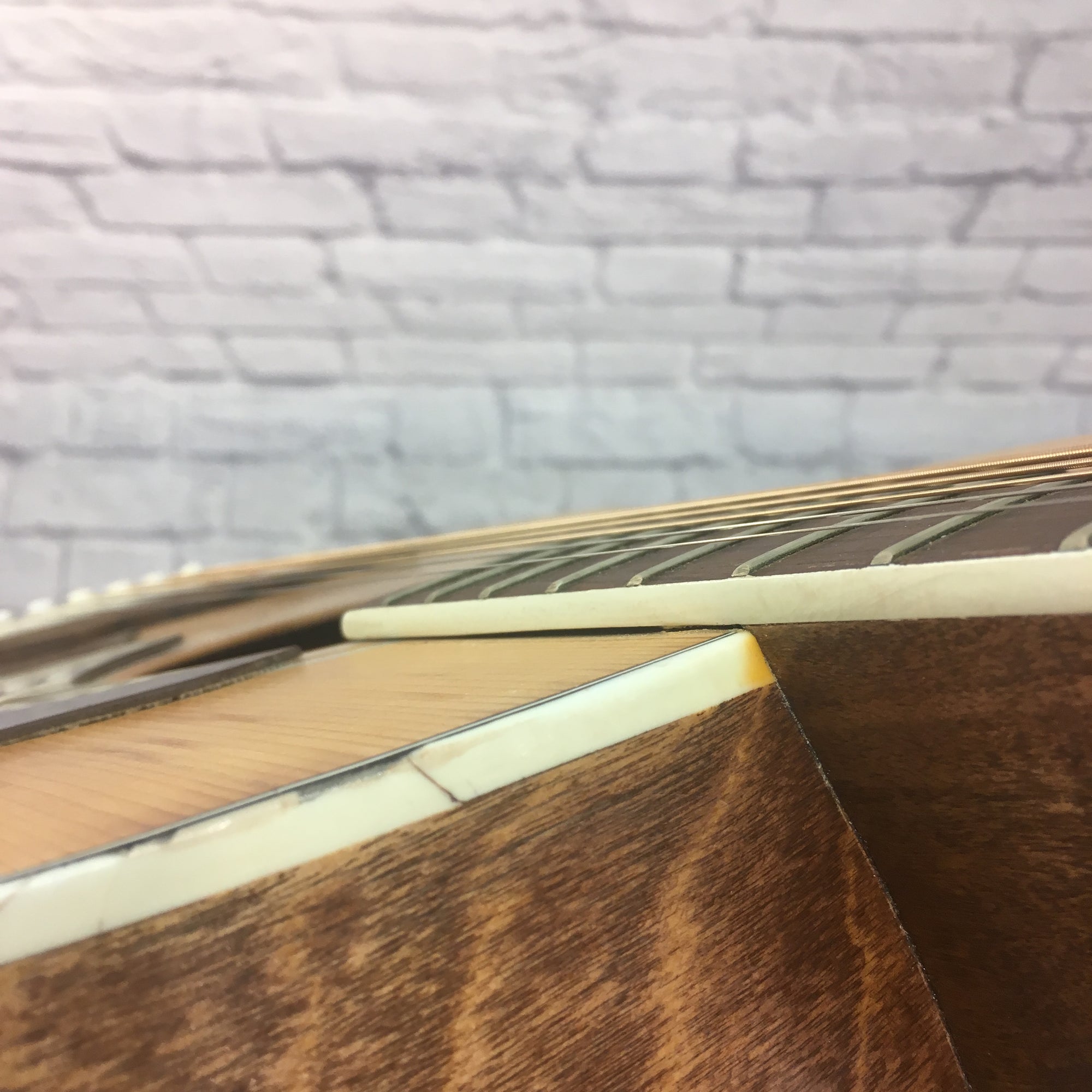 Vintage 1969 Harmony 168 "Restoration by Piszta"