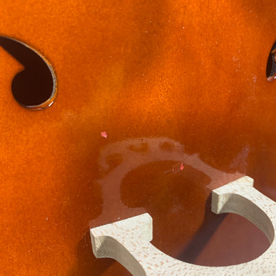 D Luca Meister Series MC100 4/4 Cello - S/N 886524631