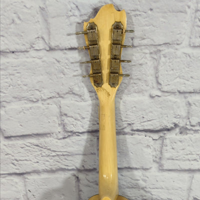 Unknown Antique Mandolin For Parts or Repair
