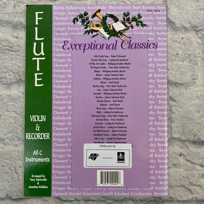 Santorella Exceptional Classics Flute Violin Recorder C Instrument