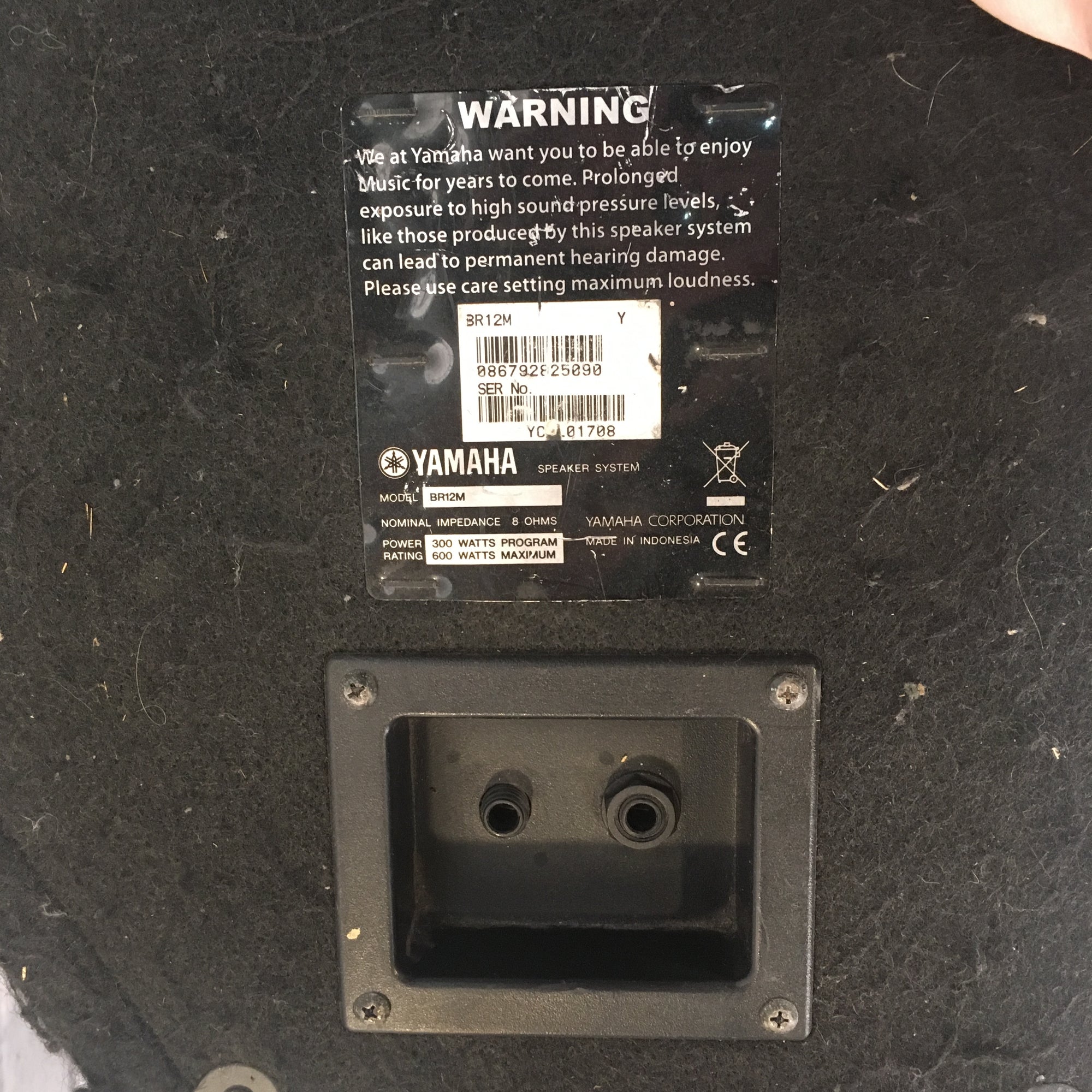 Yamaha BR12M 12in 300-600w 2-Way Wedge Monitor Speaker