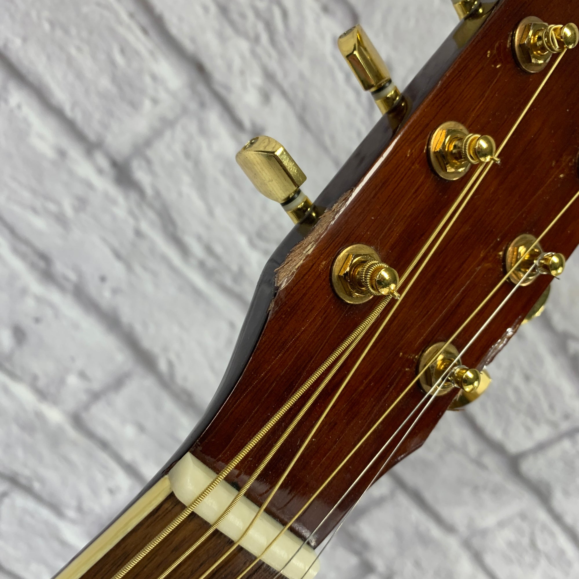 Ventura VWD5NAT Acoustic Guitar Natural
