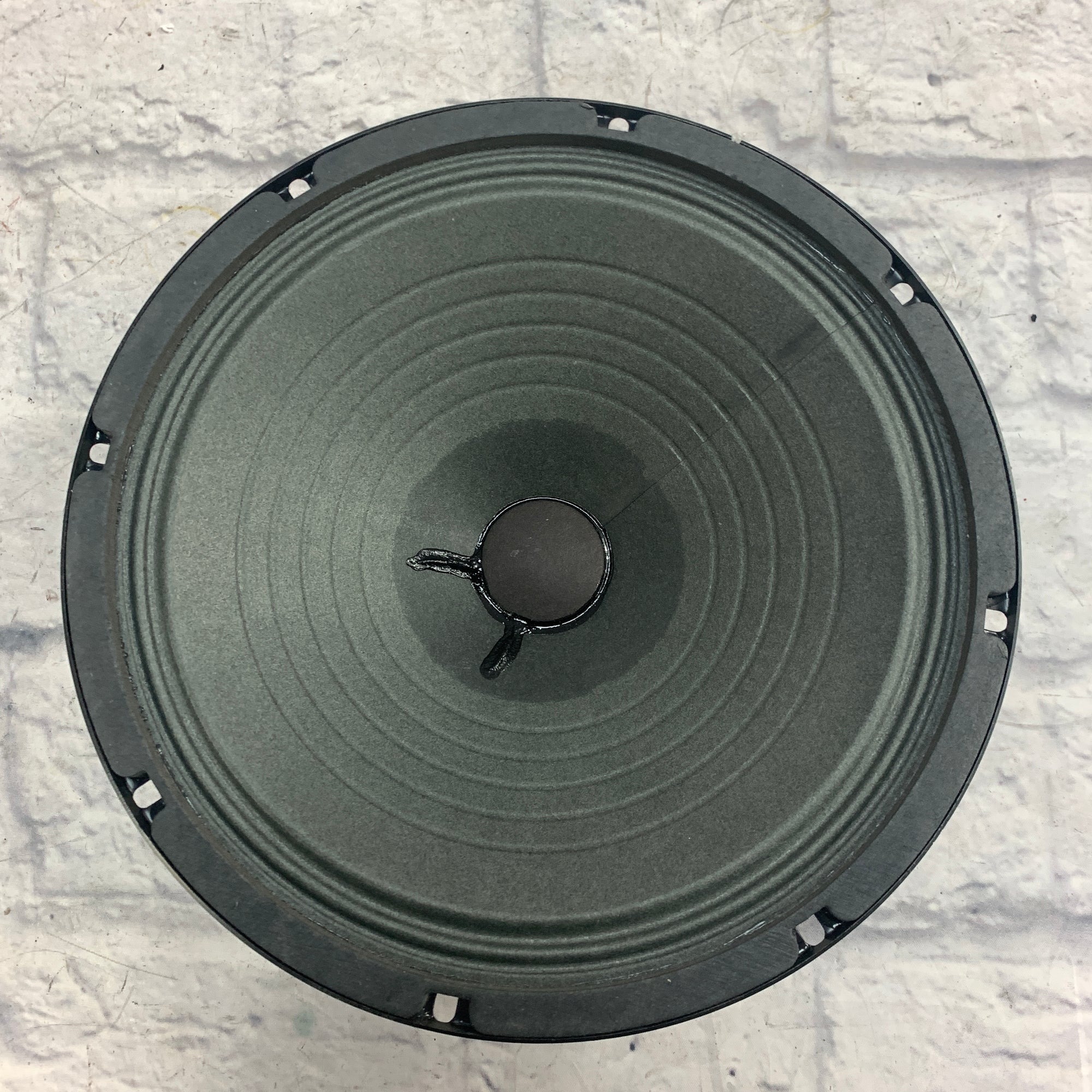 Eminence 10in Replacement Speakers 8ohm, Unknown Origin
