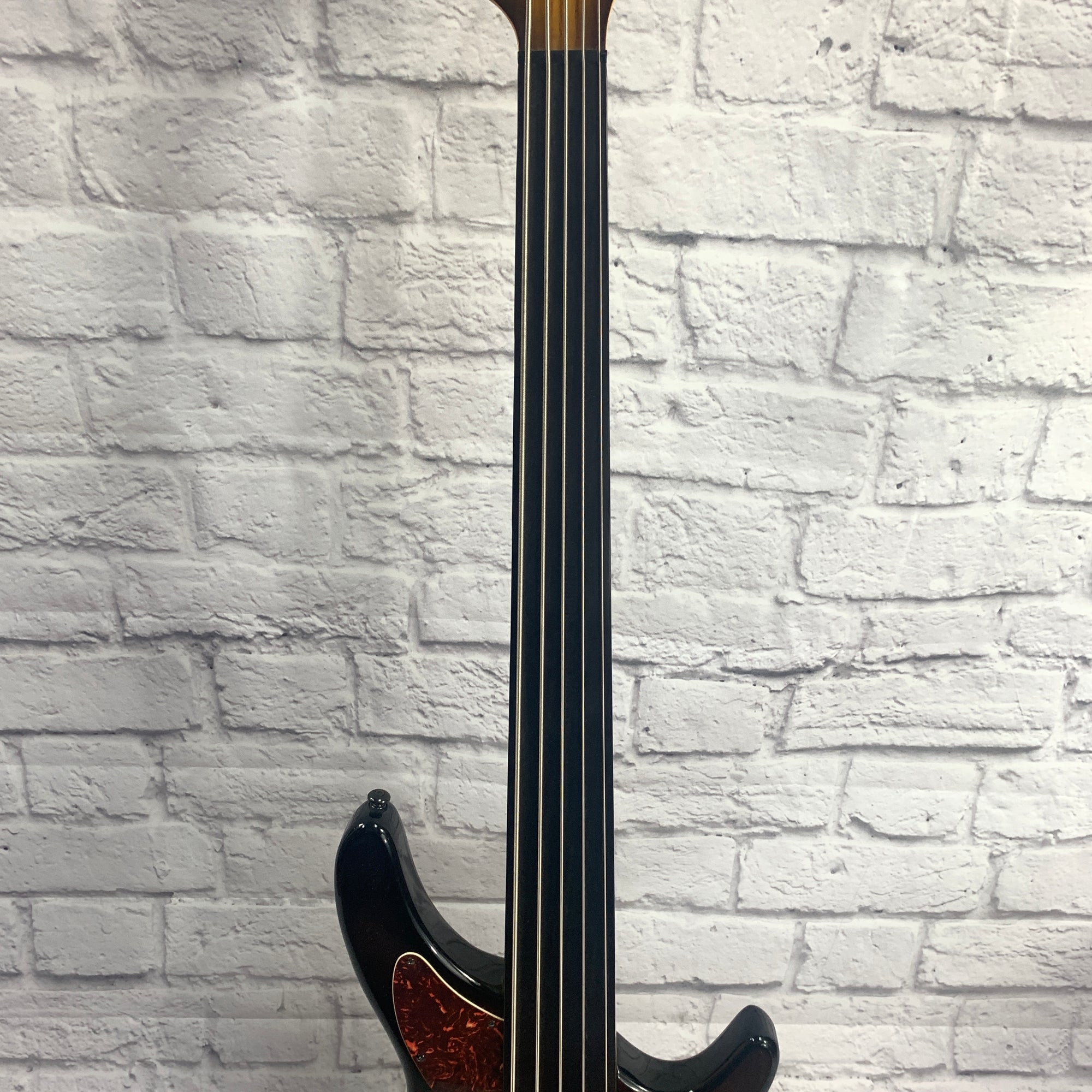 Aria Pro II Steve Bailey 5 String Fretless Bass - Evolution