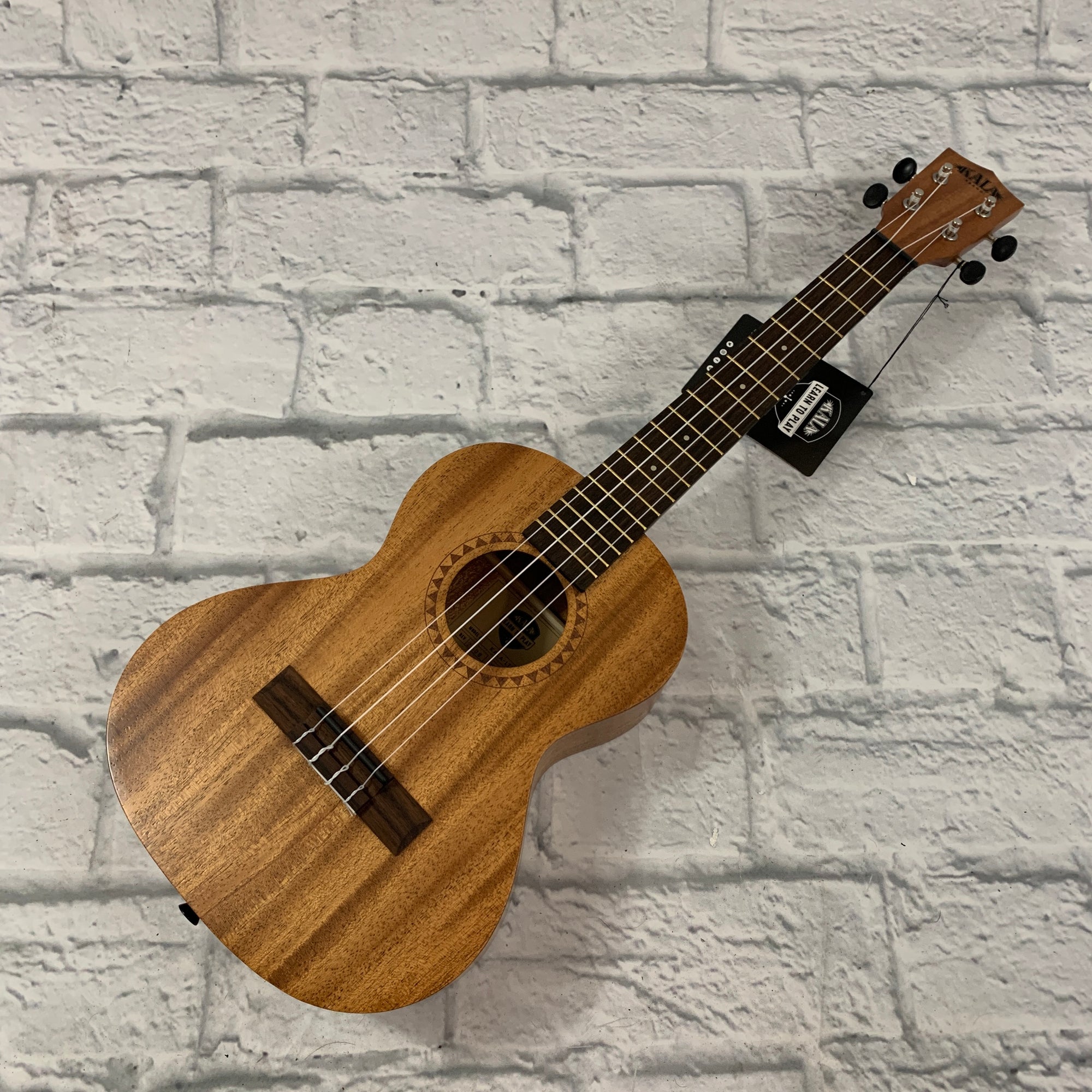 Kala Learn To Play Ukulele Tenor Starter Kit