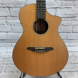 Breedlove Passport N250/Coe Acoustic