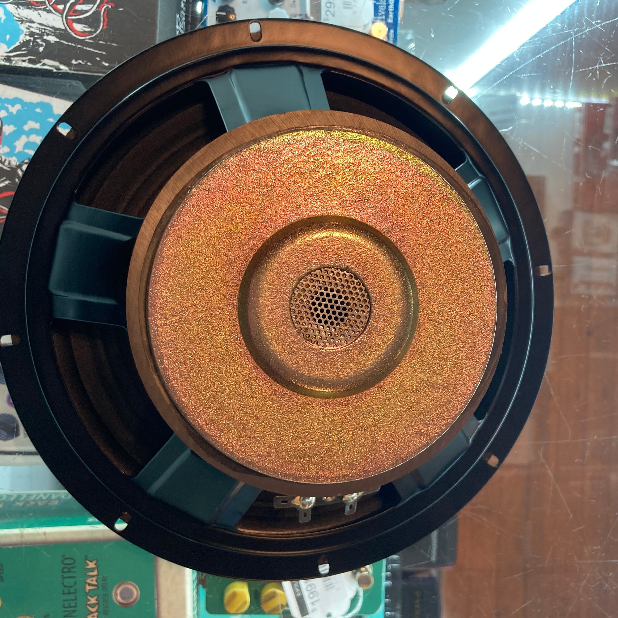 Unknown Chinese 10 Inch Speaker