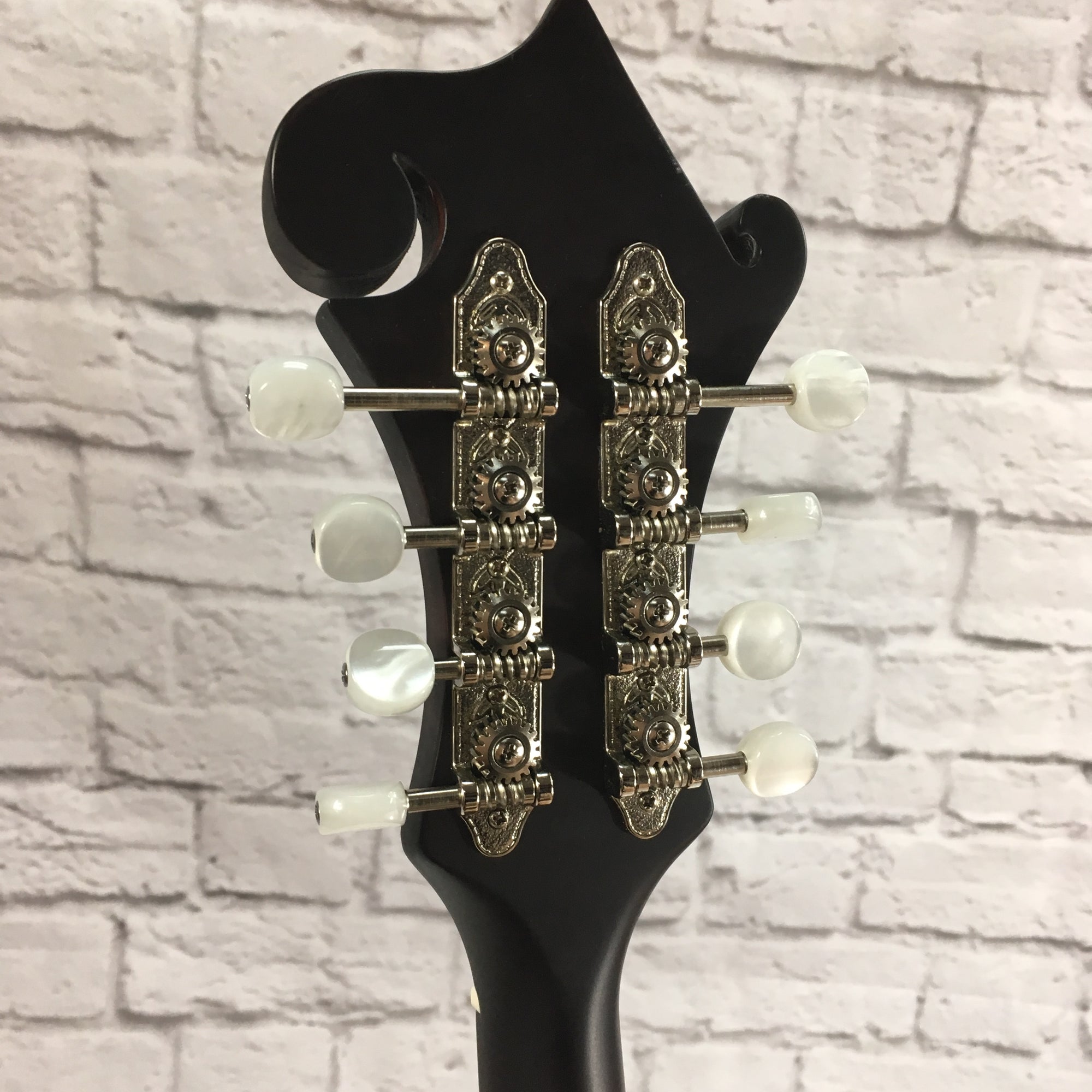 Loar LM-310F F Style Mandolin
