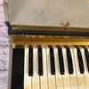 No Name 37 key Accordion Piano