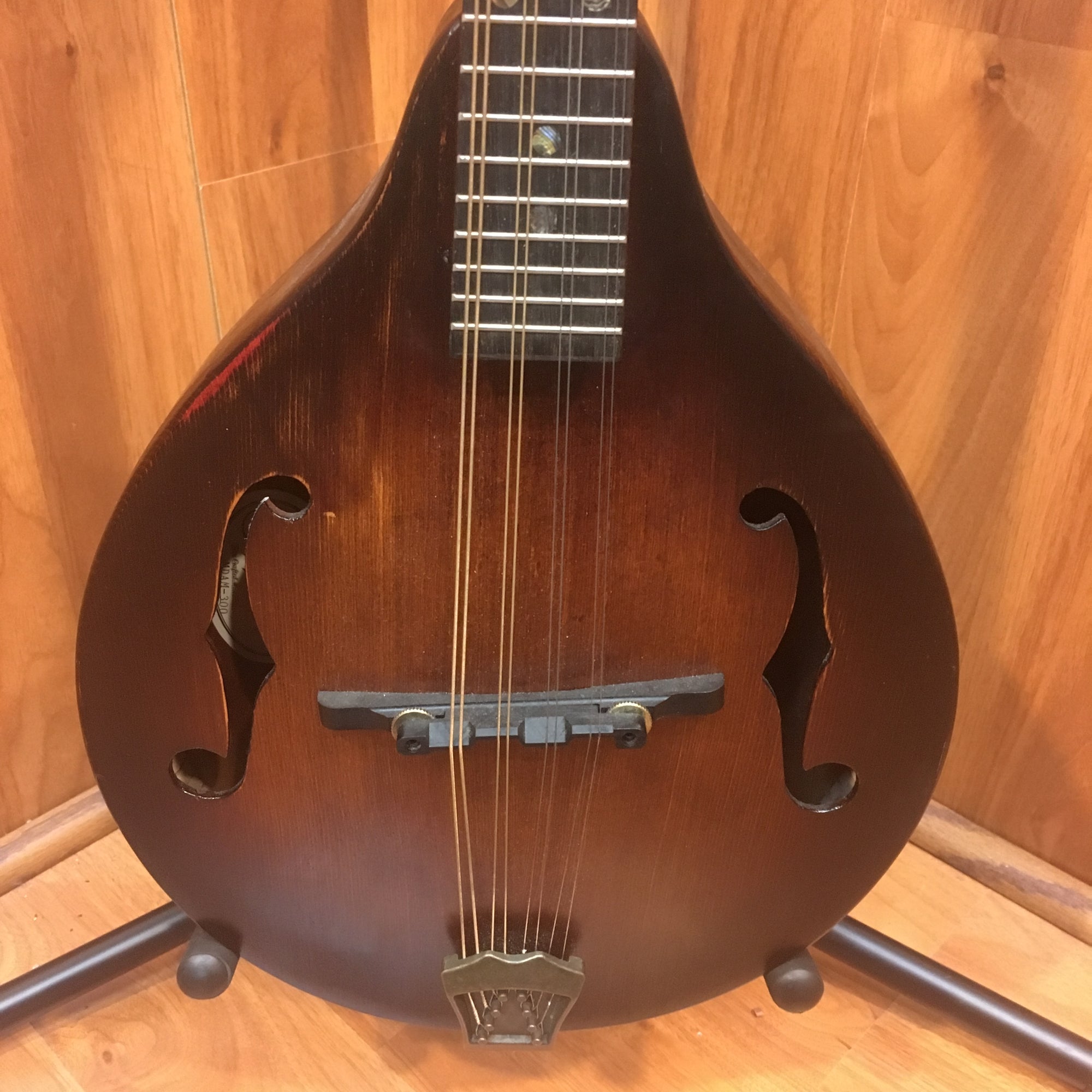 Morgan Monroe Mdam 300 Mandolin