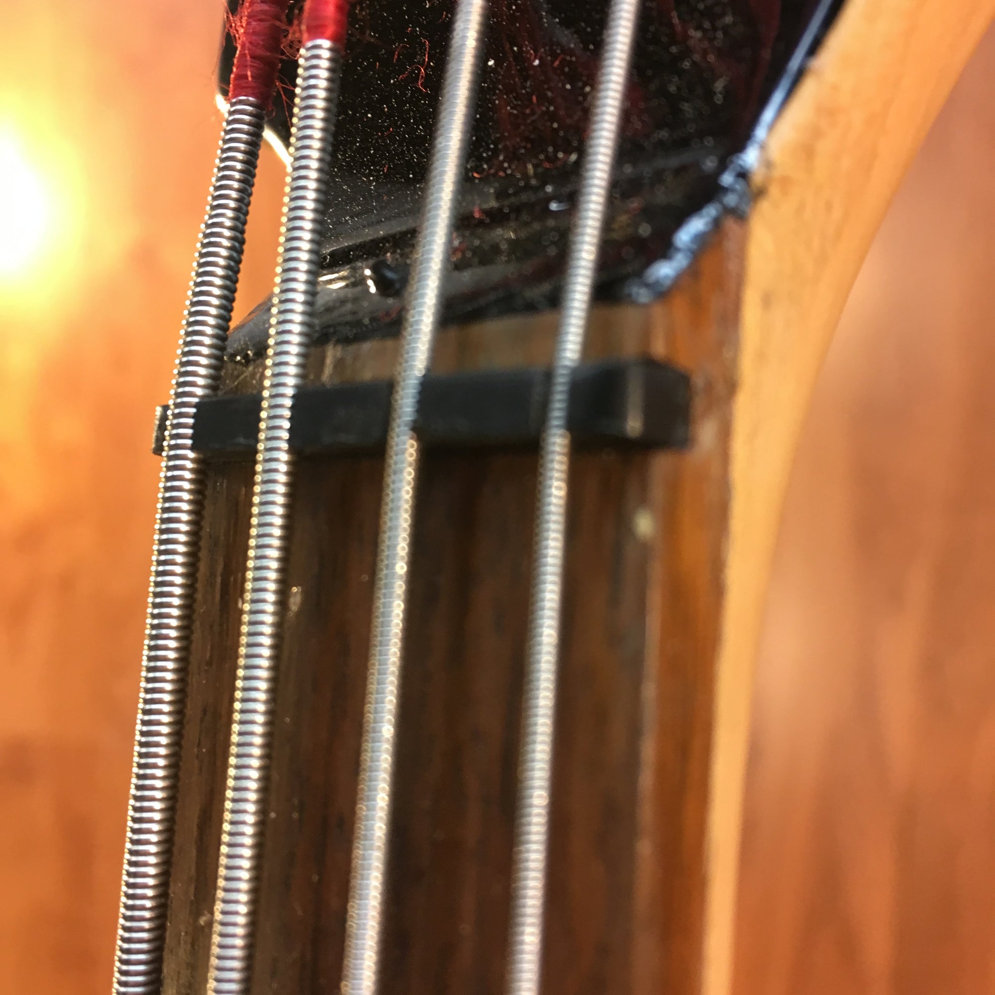 ** Peavey Millinnium ACBXP Bass