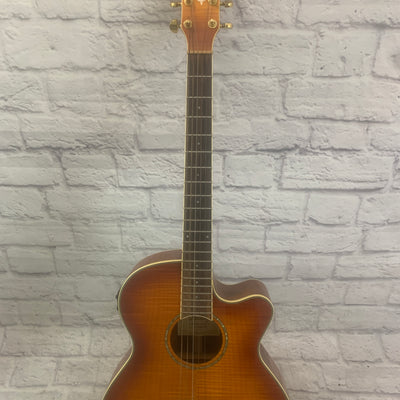 Ibanez AEG 2011 Acoustic/ Electric Guitar