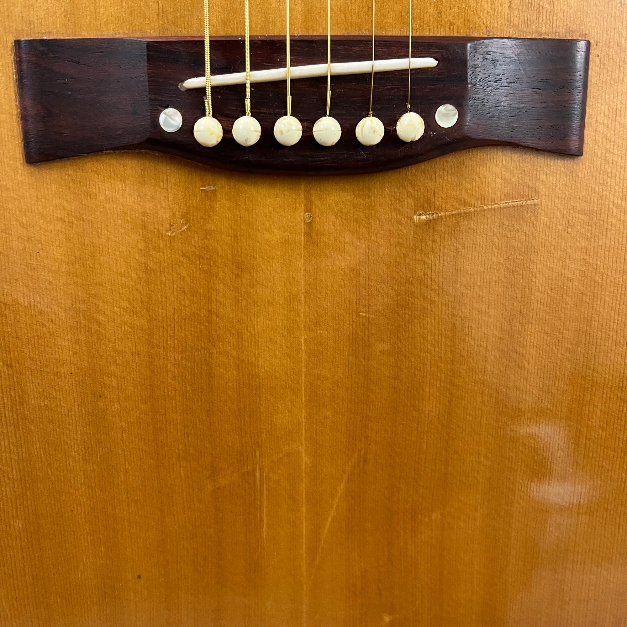 Toyota 605 Acoustic Guitar