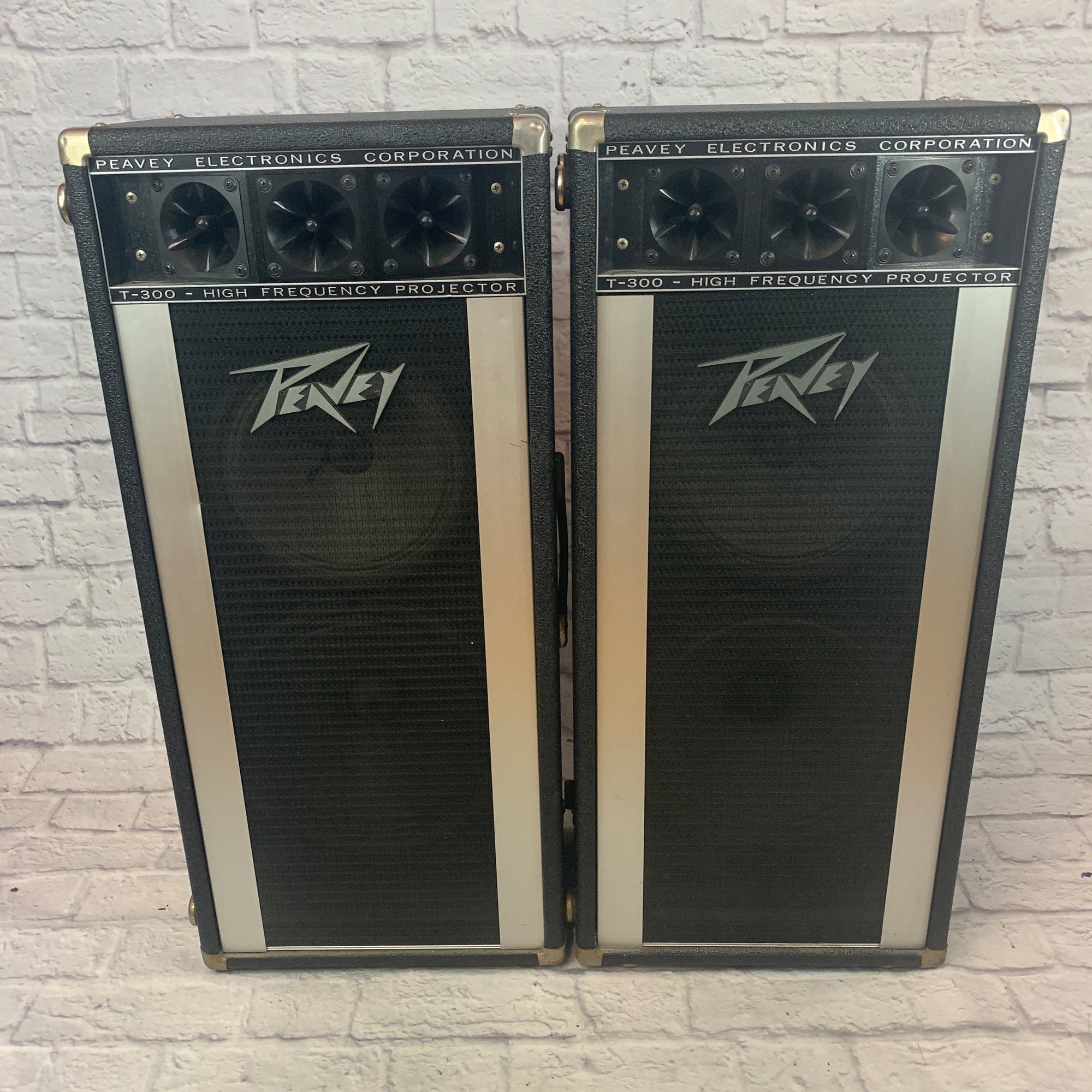 Peavey 1210t hot sale column speakers