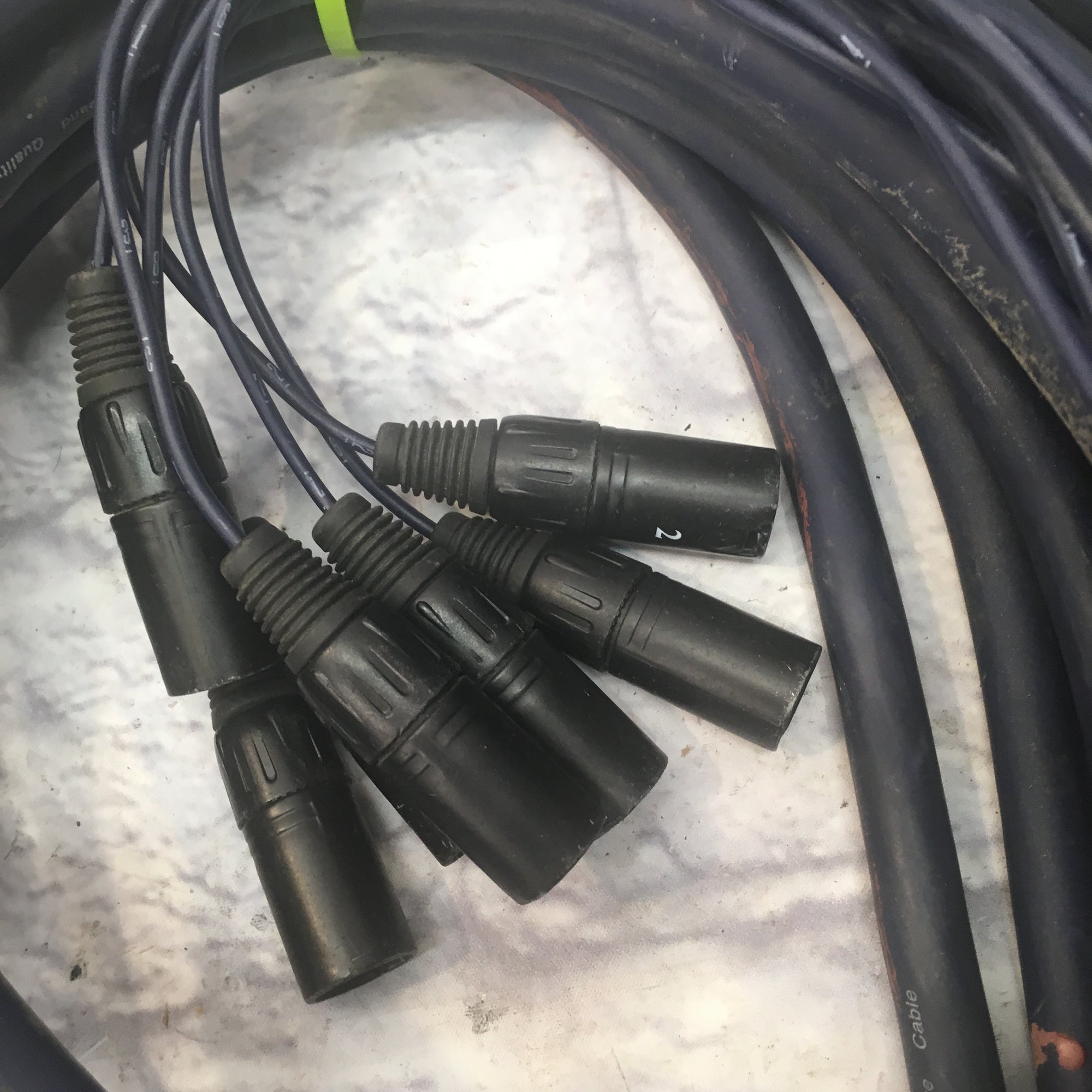 50 foot 8 XLR Channel Snake (No Returns)