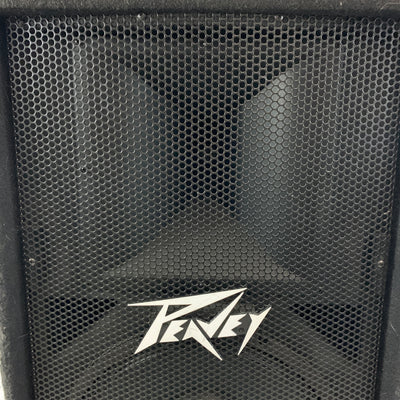 Peavey PV115 Passive Speaker