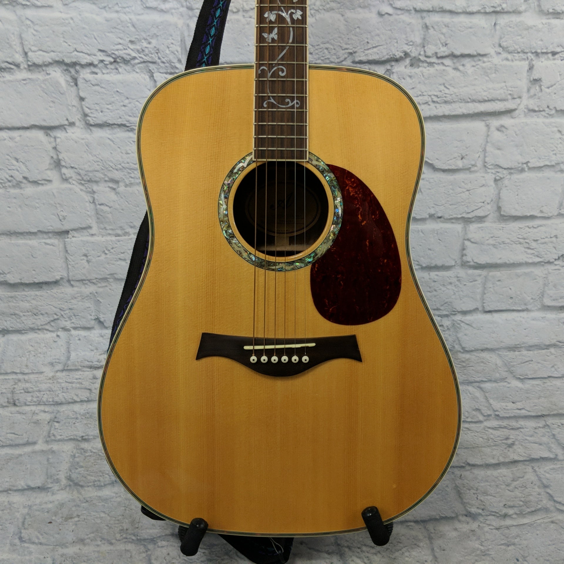 Allen Amplification EWD-30S Dreadnought Acoustic Guitar w/Case