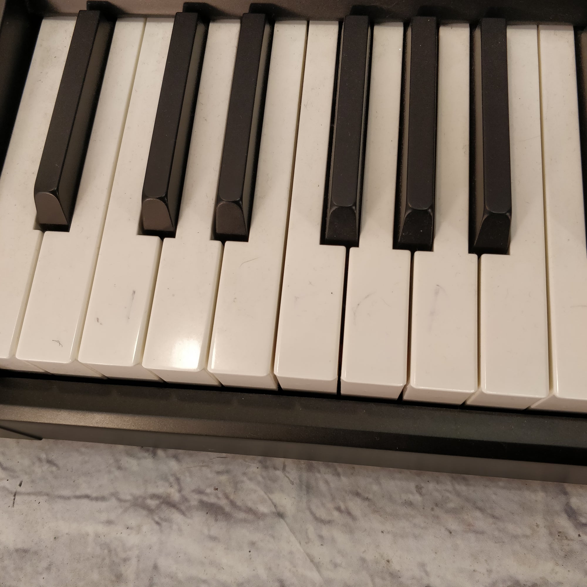 Williams Allegro Weighted 88 Key Keyboard w Accessories