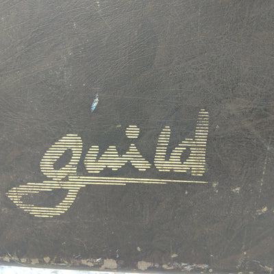 Vintage Guild Hardshell Bass Case