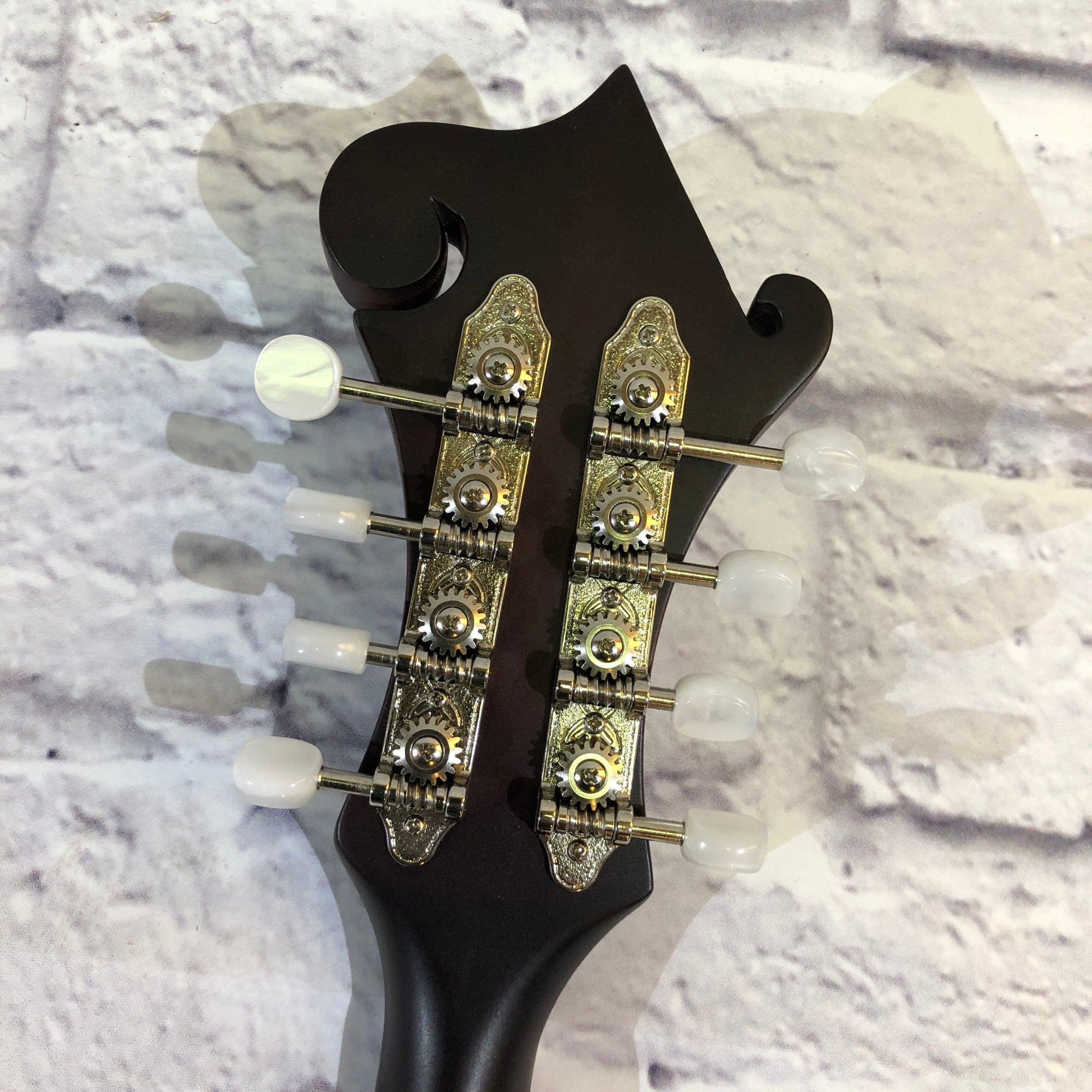 The Loar LM-310F Mandolin