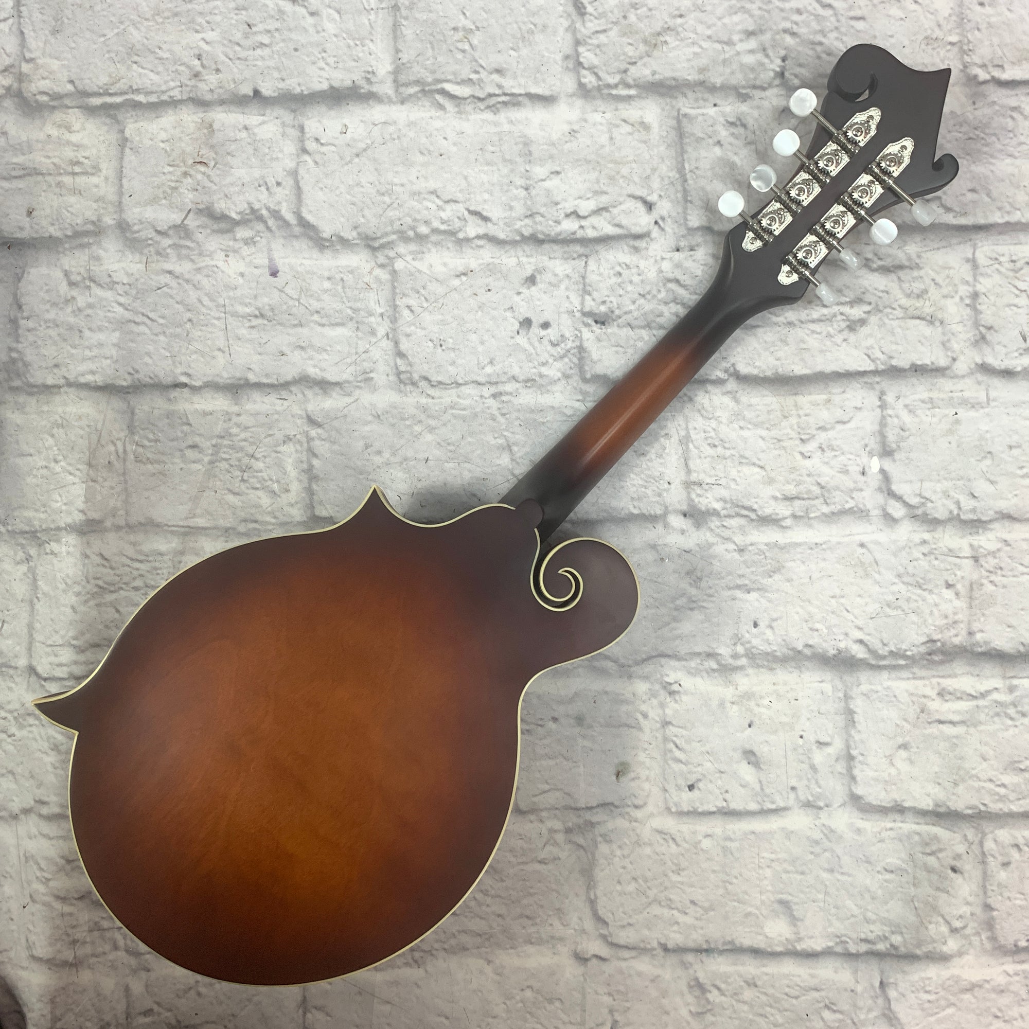 Loar Mandolin LM-31cf-BRB