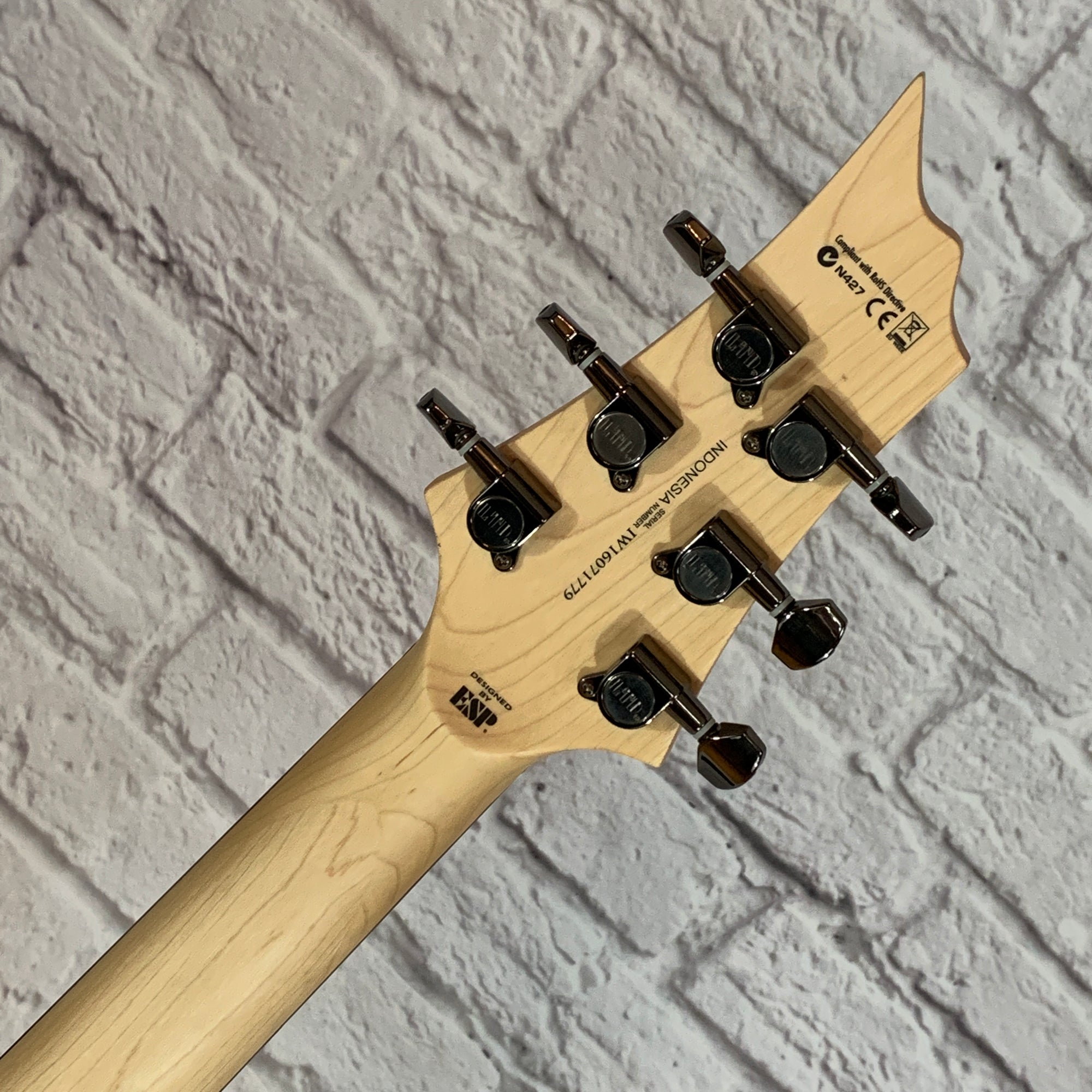 ESP LTD H101-FM Electric Guitar Red Flame