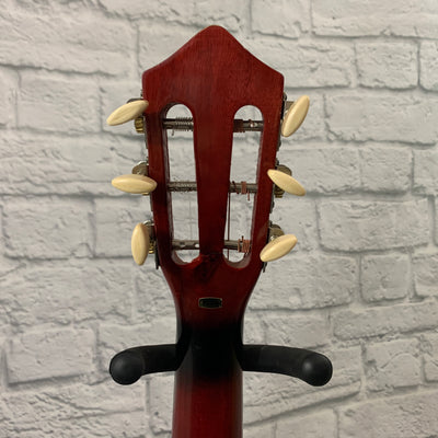 Play & Learn Mini Acoustic Guitar w/ Gig Bag